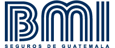 bmi
